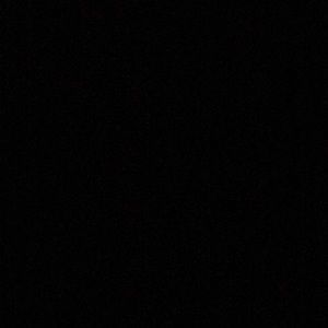 Meet your Posher, Genesis